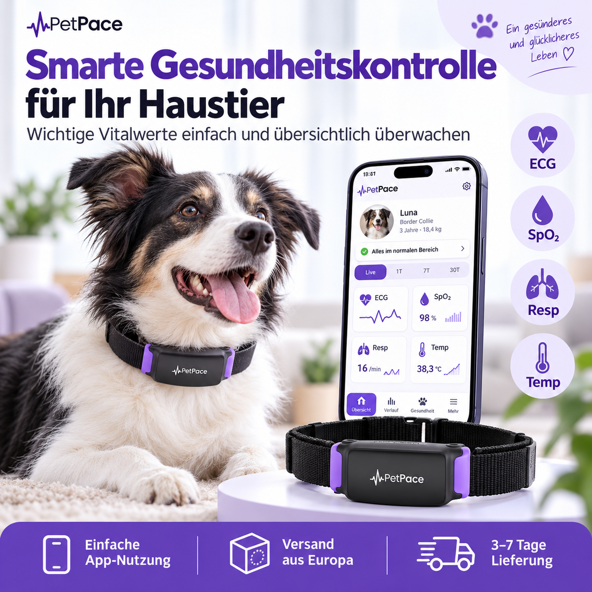GPS Tracker für Hunde mit Aktivitätsüberwachung und App
